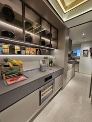 Havelock Road (D1), Apartment #462850141